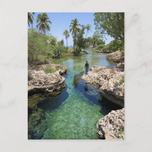 Alligator Hole, Black River Town, Jamaika Postkarte