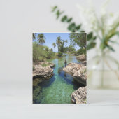 Alligator Hole, Black River Town, Jamaika Postkarte (Stehend Vorderseite)