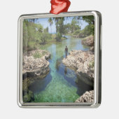 Alligator Hole, Black River Town, Jamaika Silbernes Ornament (Links)