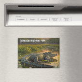 Alligator im Everglades-Nationalpark Magnet (In Situ (Geschirrspüler))