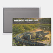 Alligator im Everglades-Nationalpark Magnet (Vorderseite/Rückseite)