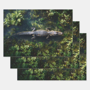 Alligator im flachen Feuchtgebietswasser Geschenkpapier Set