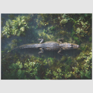 Alligator im flachen Feuchtgebietswasser Seidenpapier