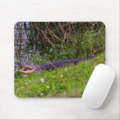Alligator im Florida-Feuchtgebiet-Foto Mousepad (Mit Mouse)