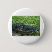 Alligator im Gras Button (Vorderseite)