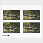 Alligator im Sonnensumpf Rechteckiger Aufkleber (Blatt)