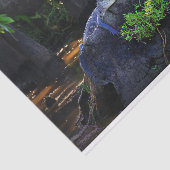 Alligator im Sumpf Seidenpapier (Ausschnitt)