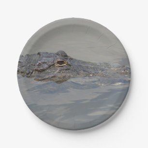 Alligator im Warten Pappteller