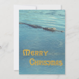Alligator im Wasser Foto Weihnachtsgruß Feiertagskarte