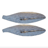 Alligator im Wasser Mini Basketball (Panele)