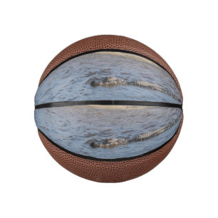 Alligator im Wasser Mini Basketball