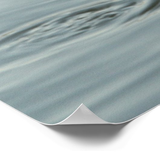 Alligator im Wasser Poster (Ecke)