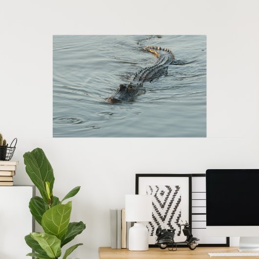 Alligator im Wasser Poster (Heimbüro)
