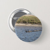 Alligator im Wasserschalter Button (Vorne & Hinten)