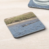 Alligator im Water Cork Untersetzer (Linke Seite)
