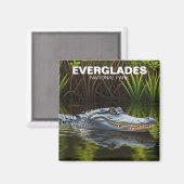 Alligator im Water Everglades Nationalpark Magnet (Vorderseite/Rückseite)