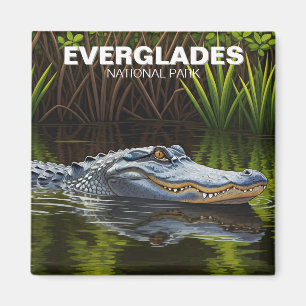 Alligator im Water Everglades Nationalpark Magnet