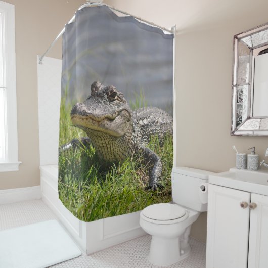 ALLIGATOR in der DUSCHE Duschvorhang (Beispiel)