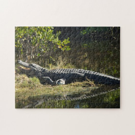 Alligator in der Sun Florida Puzzle (Horizontal)