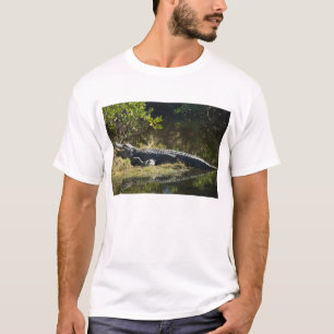 Alligator in der Sun Florida T-Shirt