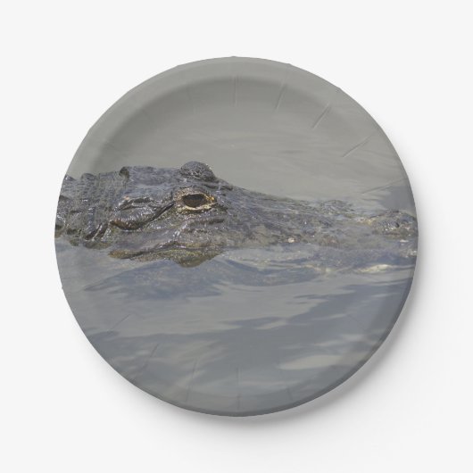Alligator in der Wartezeit Pappteller (Vorderseite)