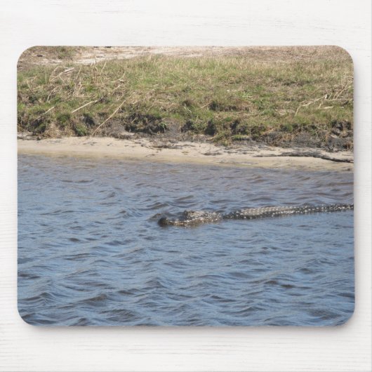 Alligator in der Wasserrutsche Mousepad (Vorne)