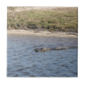 Alligator in der Wassersäule Fliese (Vorderseite)