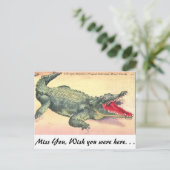 Alligator in Florida Postkarte (Stehend Vorderseite)