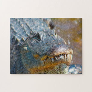 Alligator in Mississippi. Puzzle