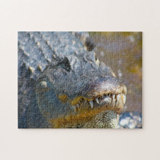 Alligator in Mississippi. Puzzle (Horizontal)