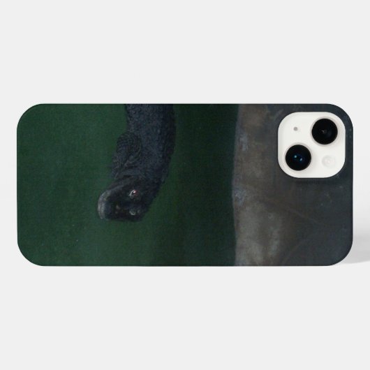 Alligator iPhone Case iPhone Hülle (Rückseite (Horizontal))