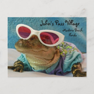 Alligator John's Pass Maderia Beach Post Card Postkarte