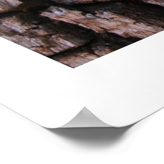 Alligator Juniper Bark Poster (Ecke)