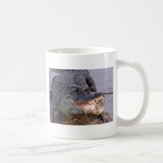 Alligator Kaffeetasse (Rechts)