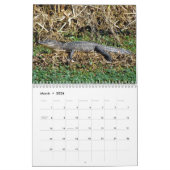 Alligator-Kalender Kalender (Mär 2026)