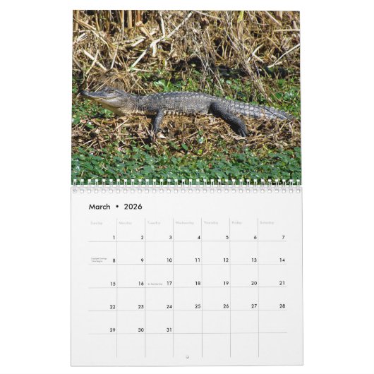 Alligator-Kalender Kalender (Mär 2026)