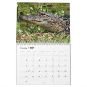 Alligator-Kalender Kalender (Jan 2027)