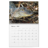 Alligator-Kalender Kalender (Feb 2027)