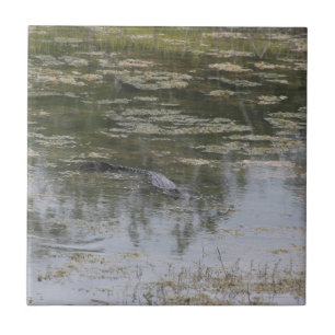 Alligator-Keramik Fliese