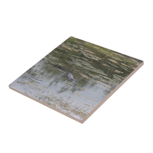 Alligator-Keramik Fliese (Seite)