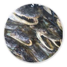 Alligator Keramikknauf