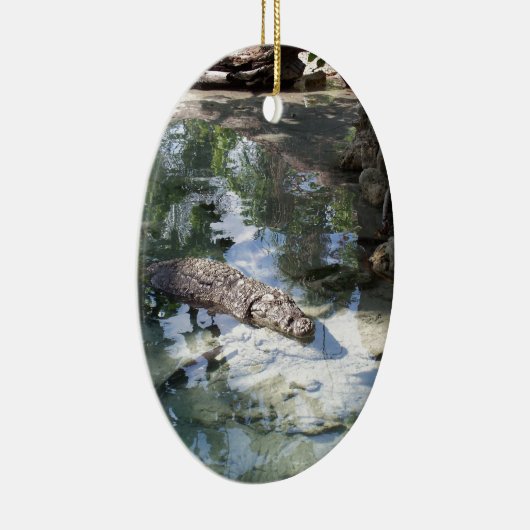 Alligator Keramikornament (Rechts)