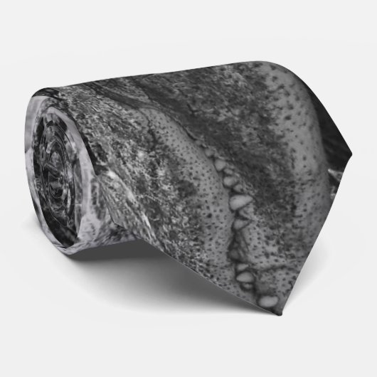 Alligator Krawatte (Gerollt)