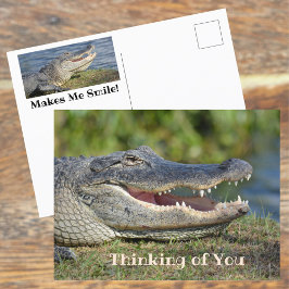 Alligator lächelt über dich postkarte