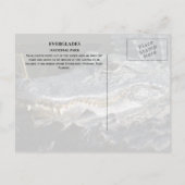 Alligator lächelt von Marsh, Everglades NP Postkarte (Rückseite)