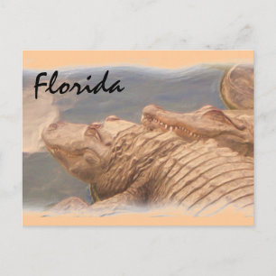Alligator Liebe Florida Postkarte