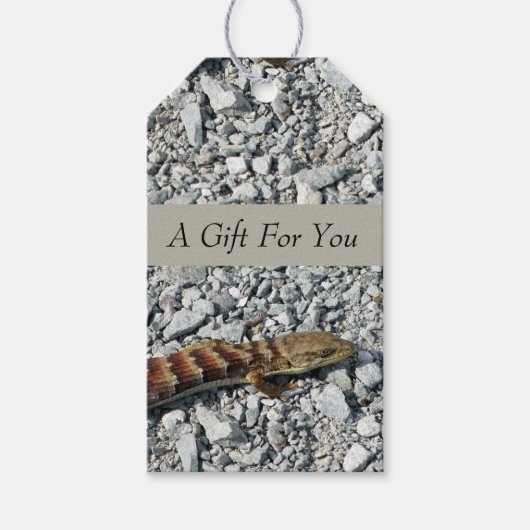 Alligator Lizard Gift Tags Geschenkanhänger (Vorderseite)