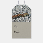 Alligator Lizard Gift Tags Geschenkanhänger (Rückseite)