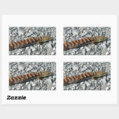Alligator Lizard Stickers (Blatt)