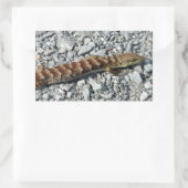 Alligator Lizard Stickers (Tasche)